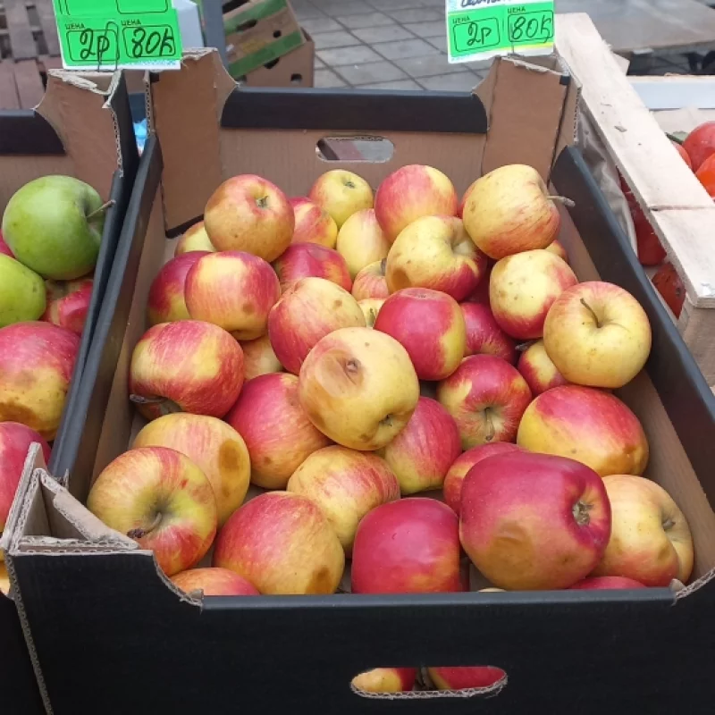 Яблоко с гнильцой..3р