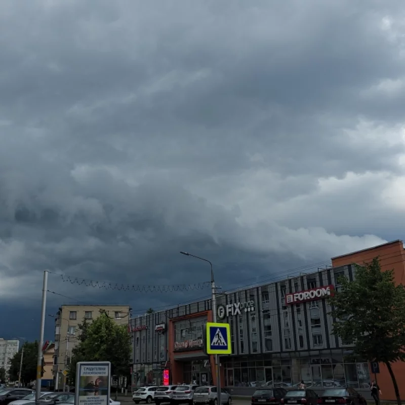 Видно Скоро пойдёт дождь