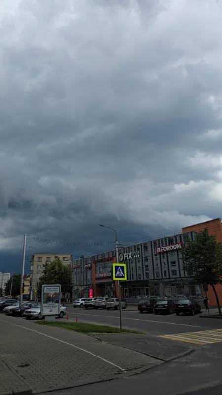Видно Скоро пойдёт  дождь