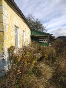 Недорого! Дом в деревне 3км от Кировска, 30км от Бобруйска