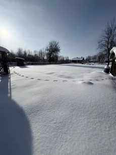 Дом в п.Глуша