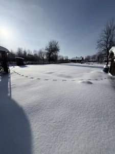 Дом в п.Глуша