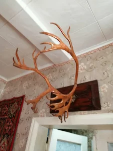 Рога