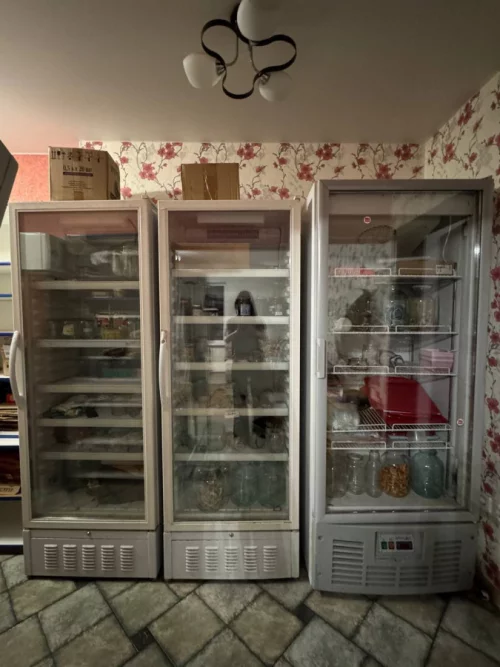 Холодильники (один Ариада(700р) и два Атлант(по 500р))