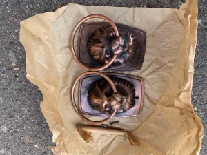 Ручки дверные