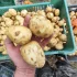 Картофель