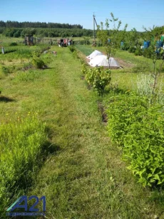 Участок 10 соток в 25км от Бобруйска в деревне Богуславка