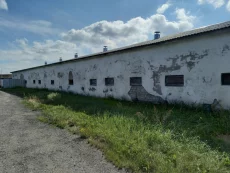 Здания под свиноводство