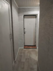 Однокомнатную квартиру в центре города