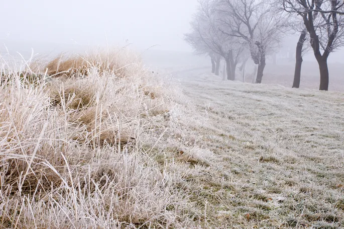 Когда ждать ощутимых морозов — рассказали синоптики