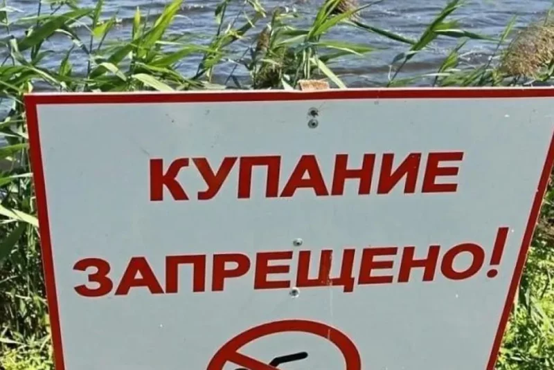 В Бобруйском районе ограничили купание детей на некоторых пляжах