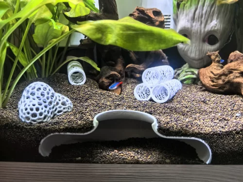 Укрытие для креветок