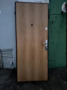 Дверь входная металическая 250р