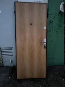 Дверь входная металическая 250р