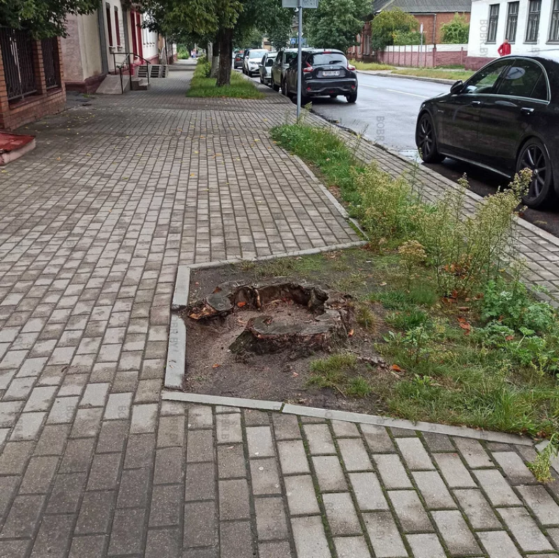 Дерева нет, пень есть, удобство для пешеходов \