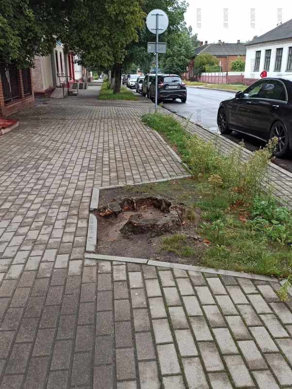 Дерева нет, пень есть, удобство для пешеходов "есть"