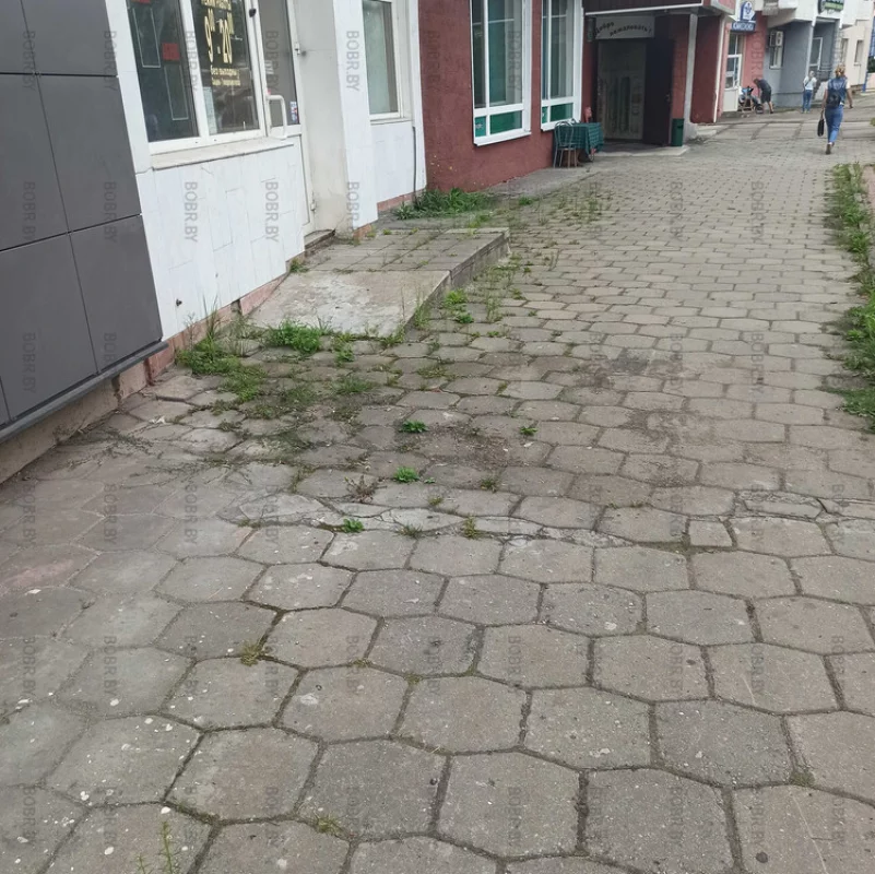 Заросшие тротуары - печалят...