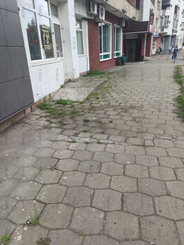 Заросшие тротуары - печалят...