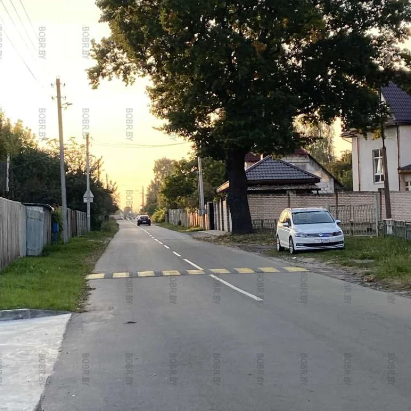 Парковаться в зелёной зоне - это видимо у белорусов в крови
