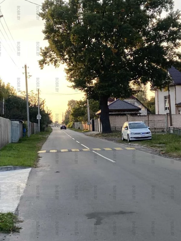 Парковаться в зелёной зоне - это видимо у белорусов в крови