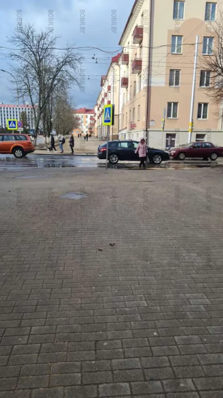 Интересно, когда горожане начнут убирать какашки за своими питомцами?
