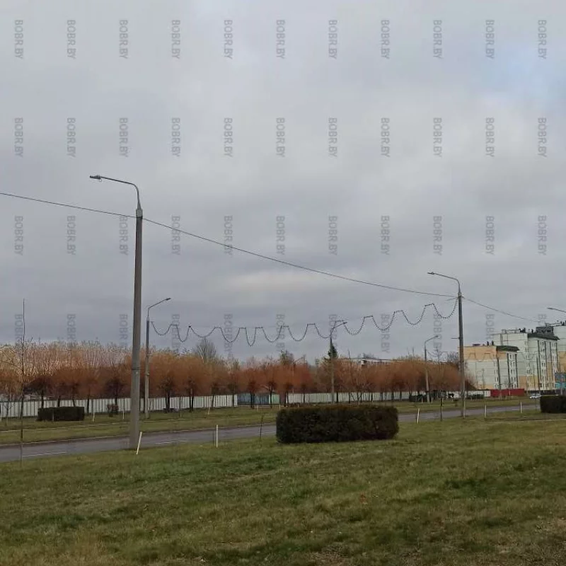 Георгиевский. В чем прикол посадки деревьев в середине ноября?