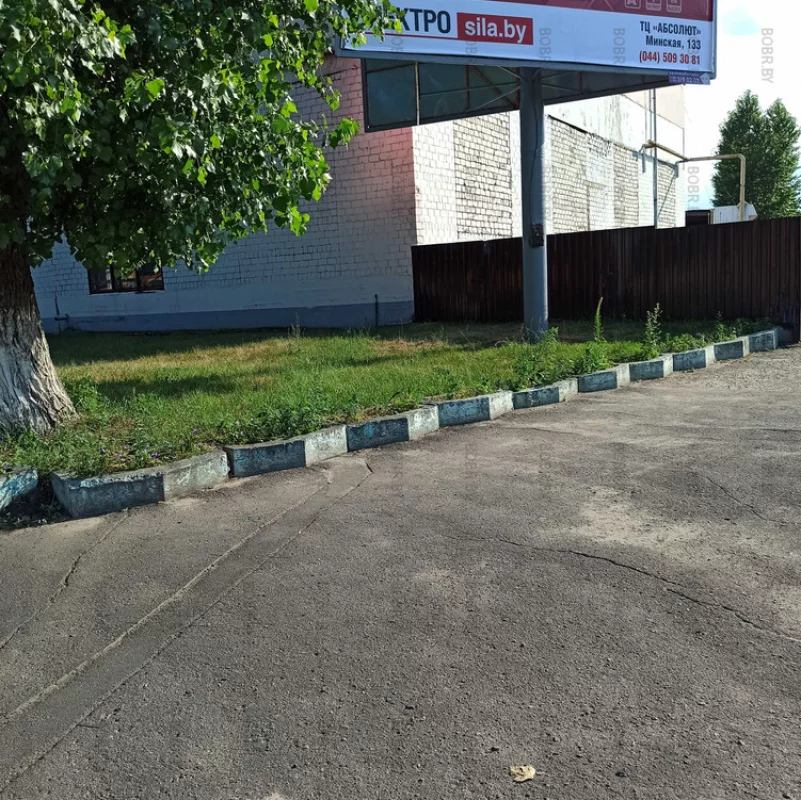 Клумбы на улице очень ухоженные, трава выше цветов..