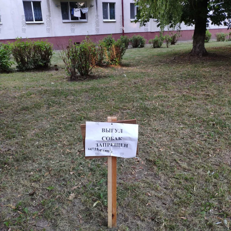 Символ отчаяния. Жильцы не знают уже как бороться с собачьими экскрементами во дворах домов. К