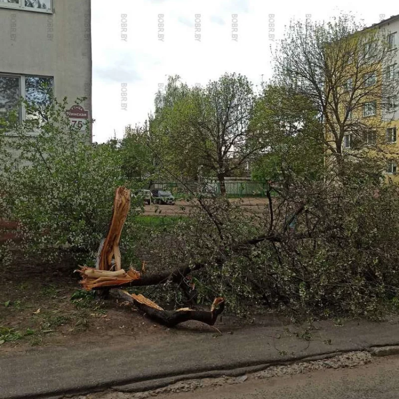 Последствия бури во дворах Минской