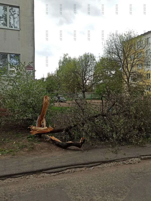 Последствия бури во дворах Минской