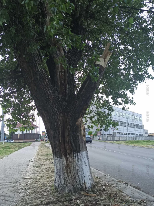 С "заботой о природе"...