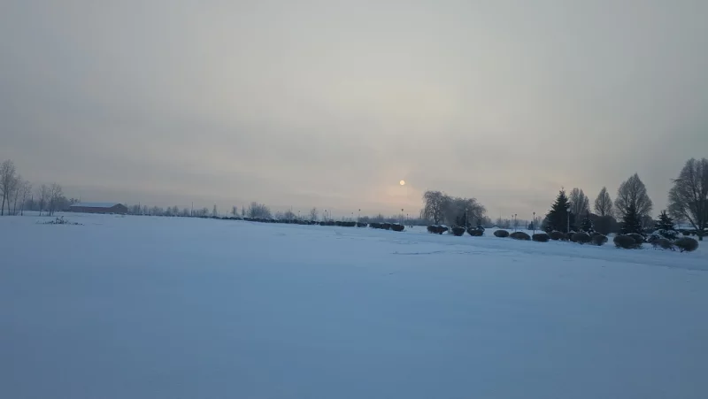 Февральское солнце