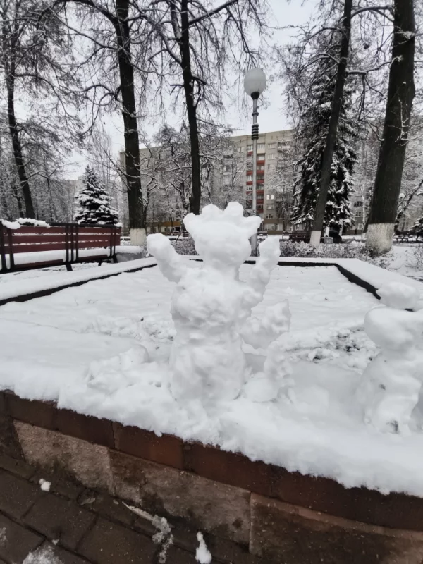 Снежная пора