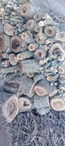 Дрова целый кузов