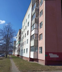 1-комнатная квартира рядом с гор.парком по ул. Московская, 100