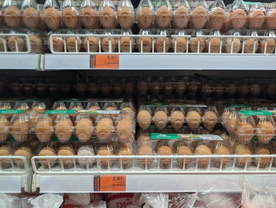 Можно ли найти в Бобруйске белые куриные яйца? У корреспондента BOBR.BY не получилось