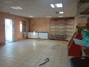 Комплекс зданий магазина с большой территорией по ул К. Маркса 220