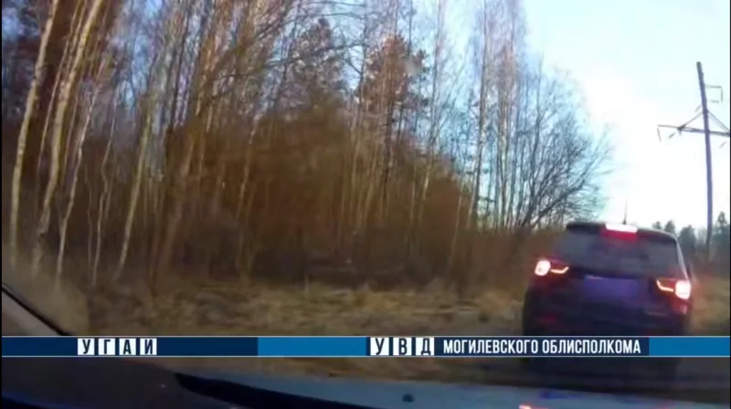 45-летняя автоледи из Бобруйска снова попалась пьяной за рулем