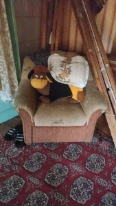 Мягкая мебель в хорошие руки