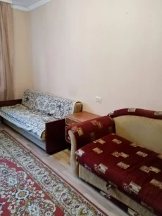 Однокомнатная Доманский