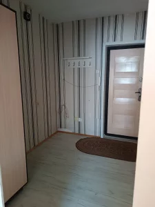 1-комнатную квартиру на пр-т Строителей