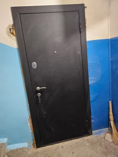 Двери входные