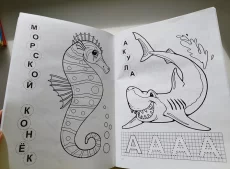 Пазлы-книга и большая раскраска