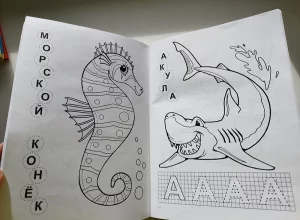 Пазлы-книга и большая раскраска