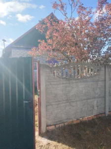 Дачу в деревне Бабино