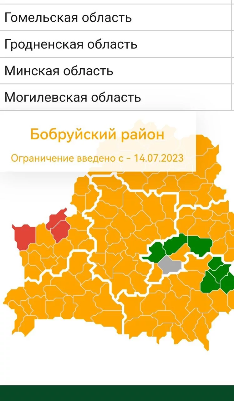 14 июля введено ограничение на посещение леса в Бобруйском районе