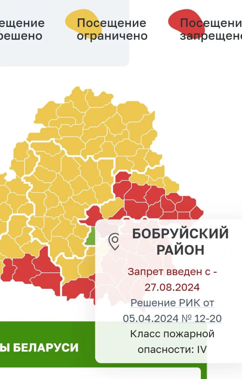 В лес нельзя! В МЧС предупредили об ответственности