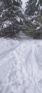 Ситроен Ксара пикассо