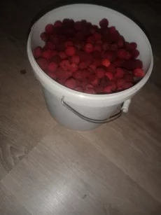 Малина свежая