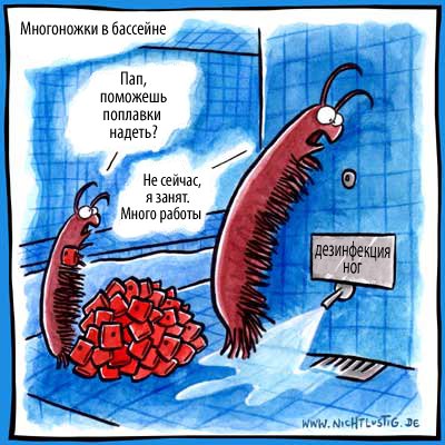 Анекдоты о насекомых